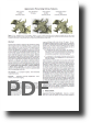 PDF format