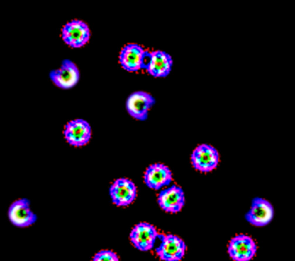 Lenia Image