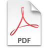 PDF Paper