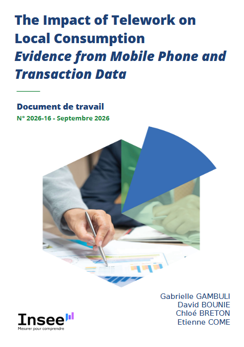 INSEE Document de travail