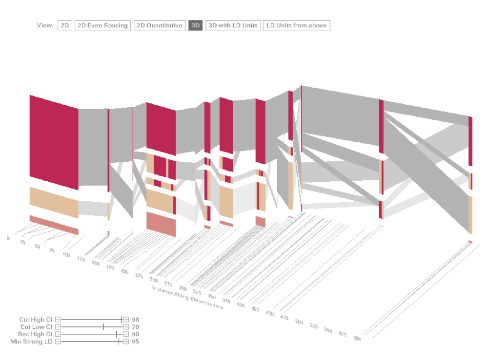 Visualizing Haplotype