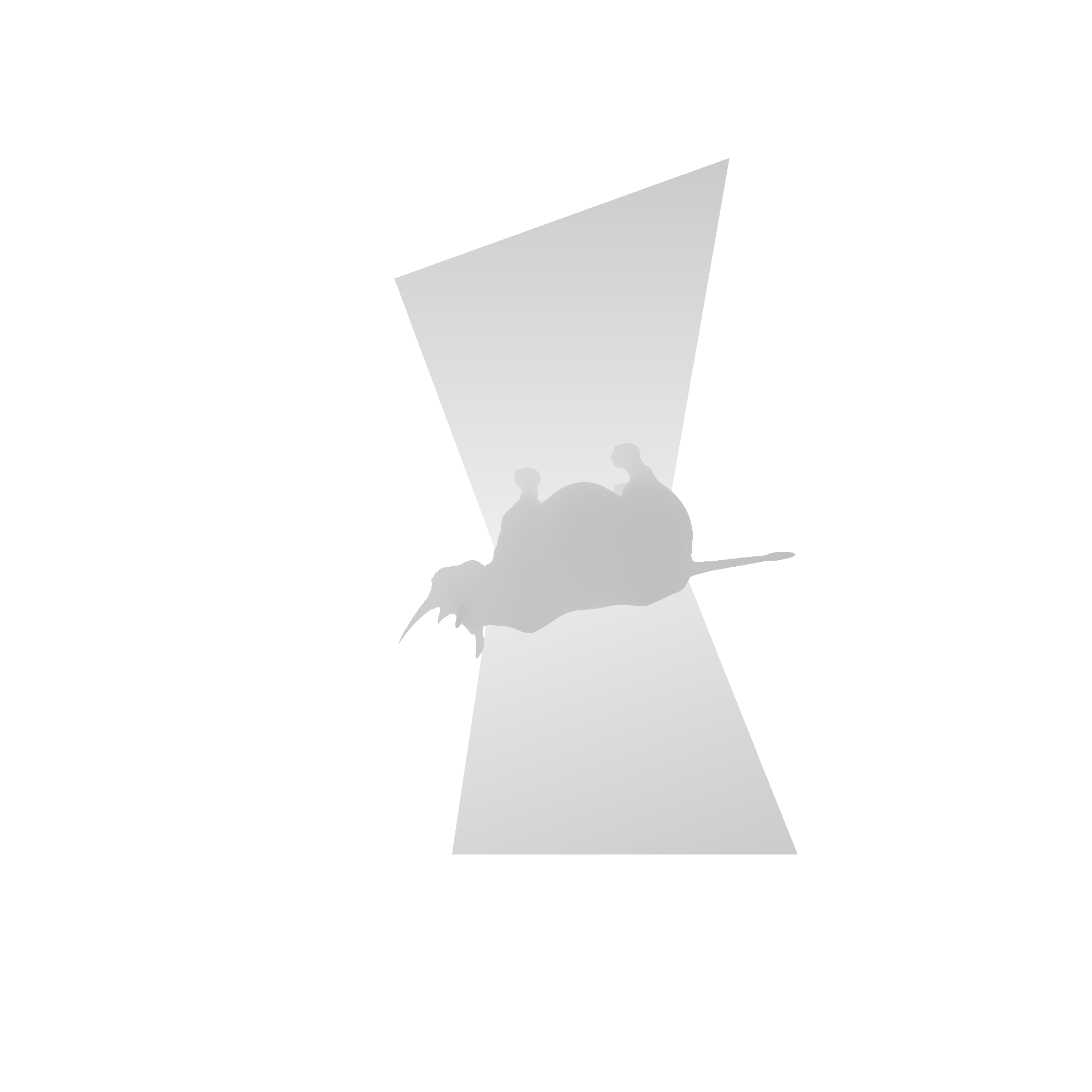 Shadow map 1